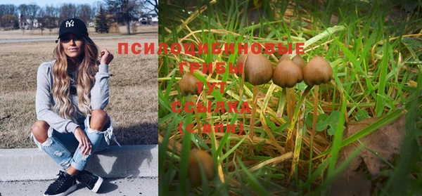 первитин Дмитровск