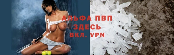 твердый Дмитров