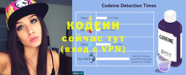 твердый Дмитров