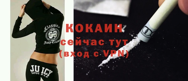 твердый Дмитров