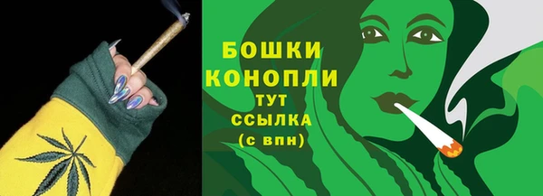 твердый Дмитров