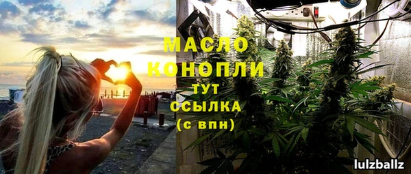 твердый Дмитров
