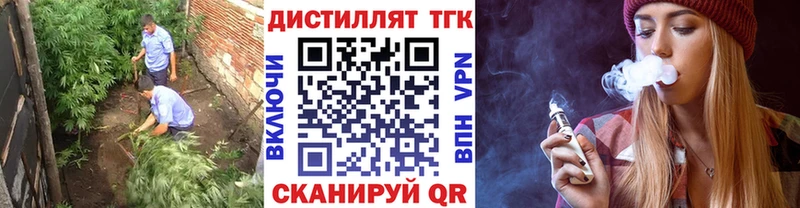 Купить закладки  Гаврилов-Ям  Дистиллят ТГК гашишное масло 