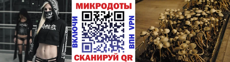 Купить  Гаврилов-Ям  Псилоцибиновые грибы Cubensis 